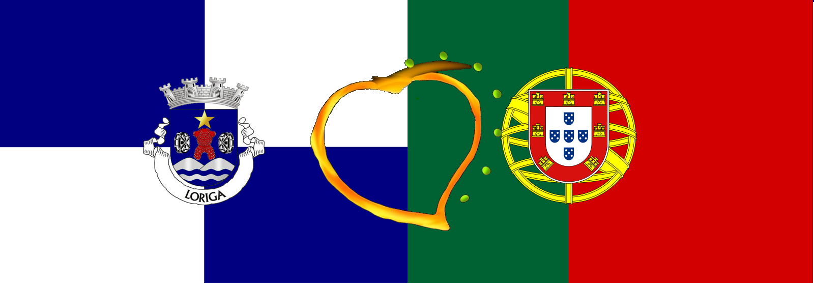 PDF História de Loriga | History of Loriga